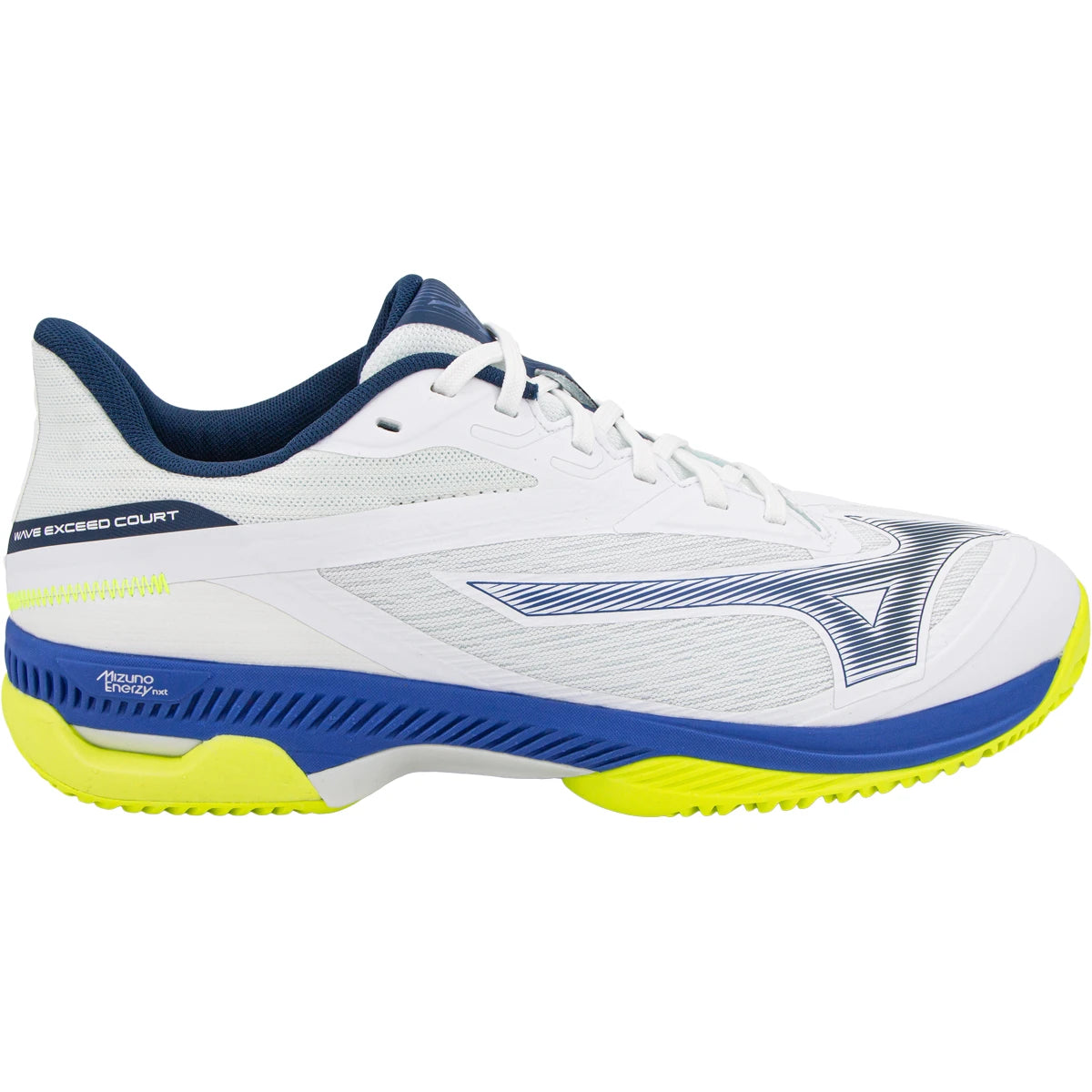 Chaussures Mizuno Wave Exceed Court Terre Battue