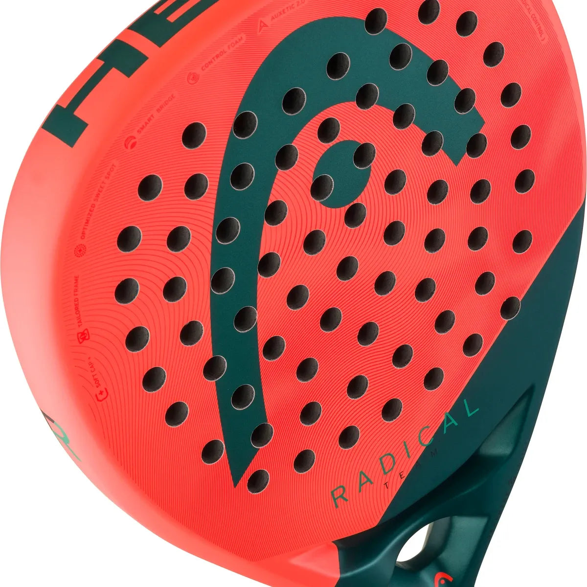 RAQUETTE DE PADEL HEAD RADICAL TEAM 2026