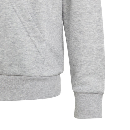 SWEAT ADIDAS JUNIOR GARCON BIG LOGO A CAPUCHE