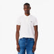 POLO LACOSTE CORE PERFORMANCE OTTOMAN REGULAR FIT
