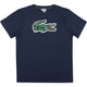 T-SHIRT LACOSTE JUNIOR GRAPHIC