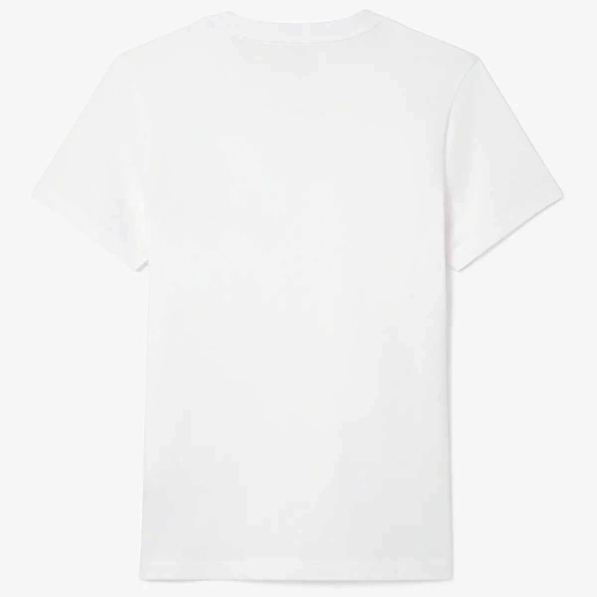 PACK T-SHIRT / CASQUETTE LACOSTE DJOKOVIC WIMBLEDON