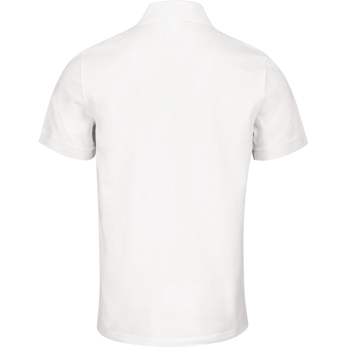 POLO HEAD VISION